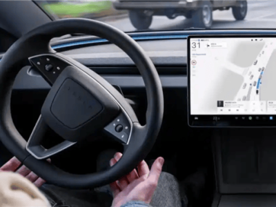 青岛动物园孟加拉白虎“小孬”美貌出圈，性格腼腆惹人爱引网友打卡