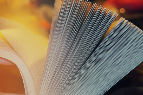 中日有关大熊猫租借协议将于本月到期，中方是否有意延长该协议？外交部回应